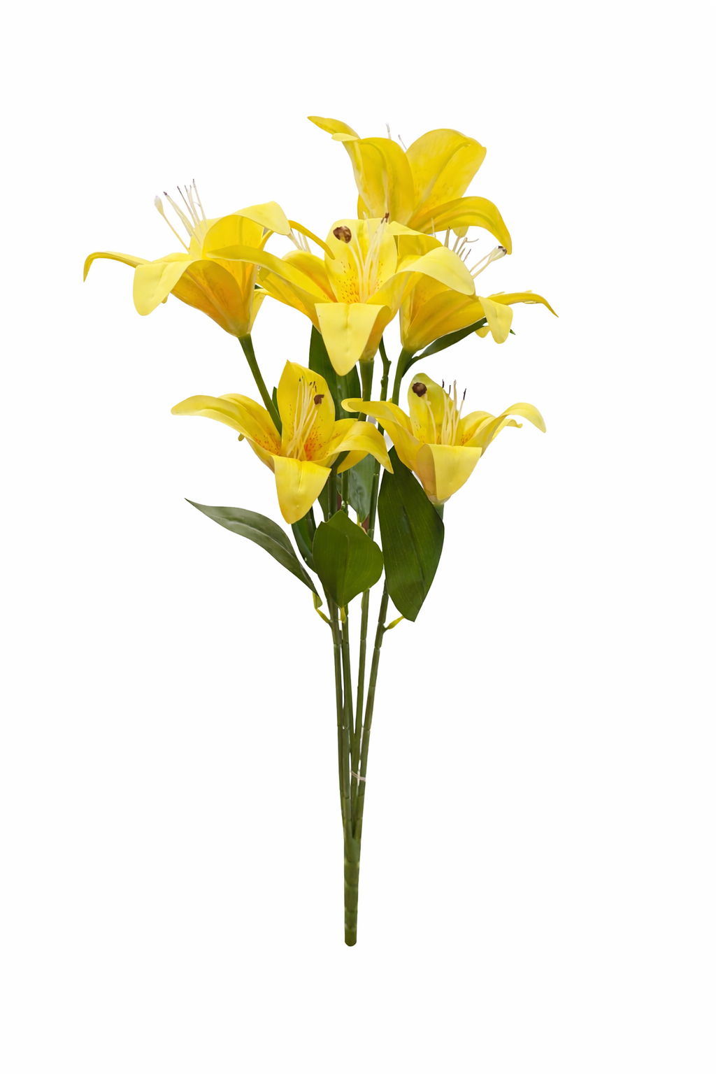 Yellow lily