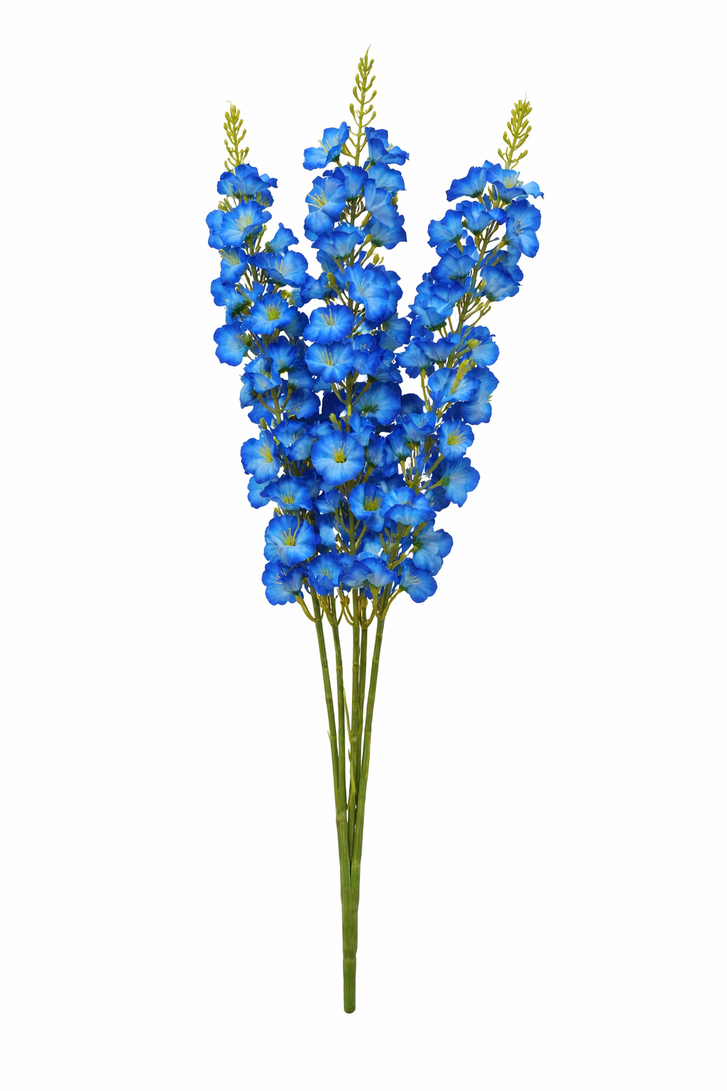 Blue Delphinium