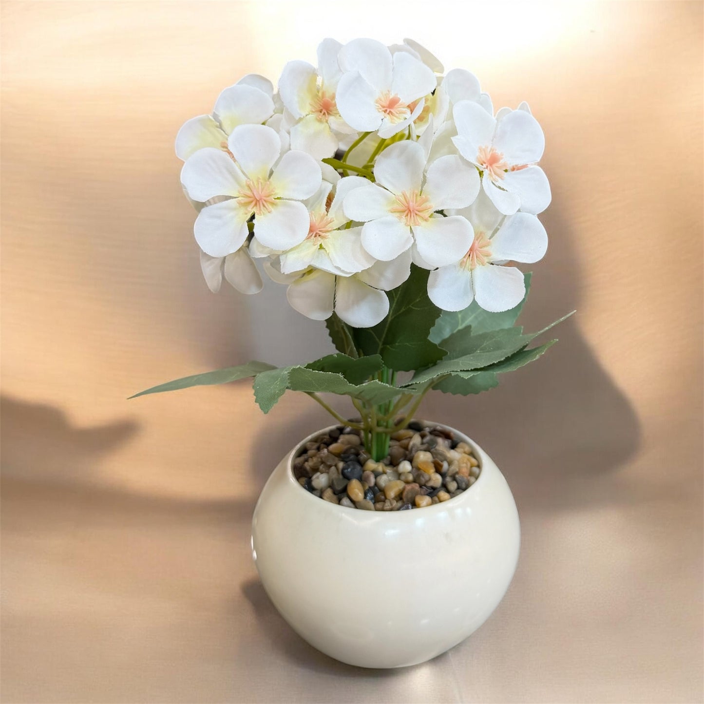 Flora