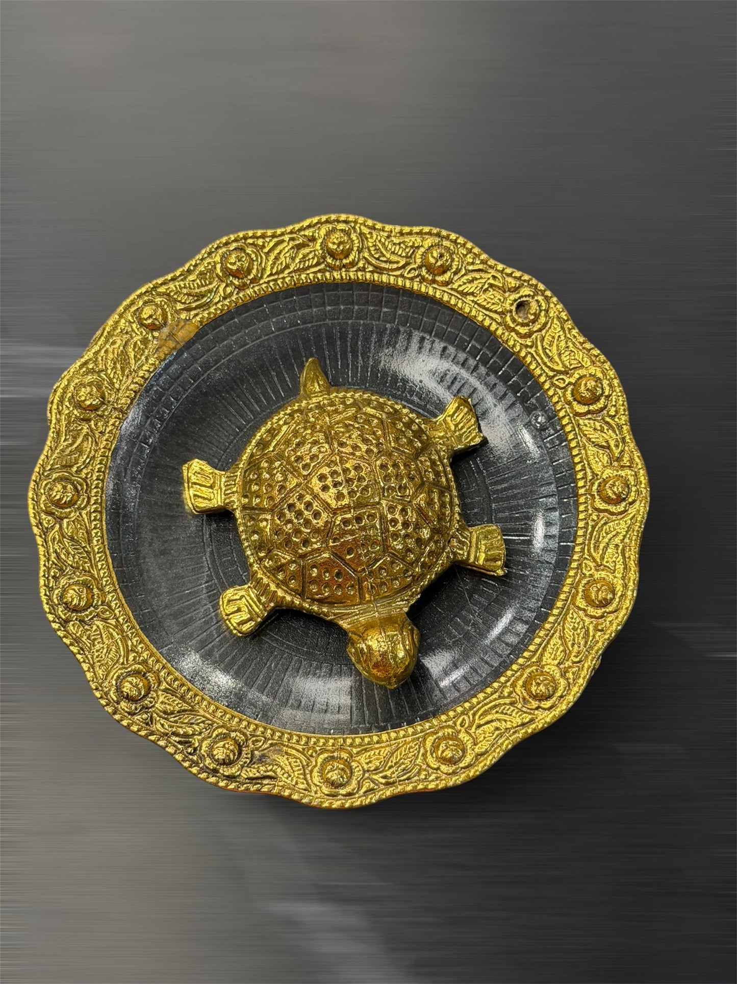 Tortoise with Plate