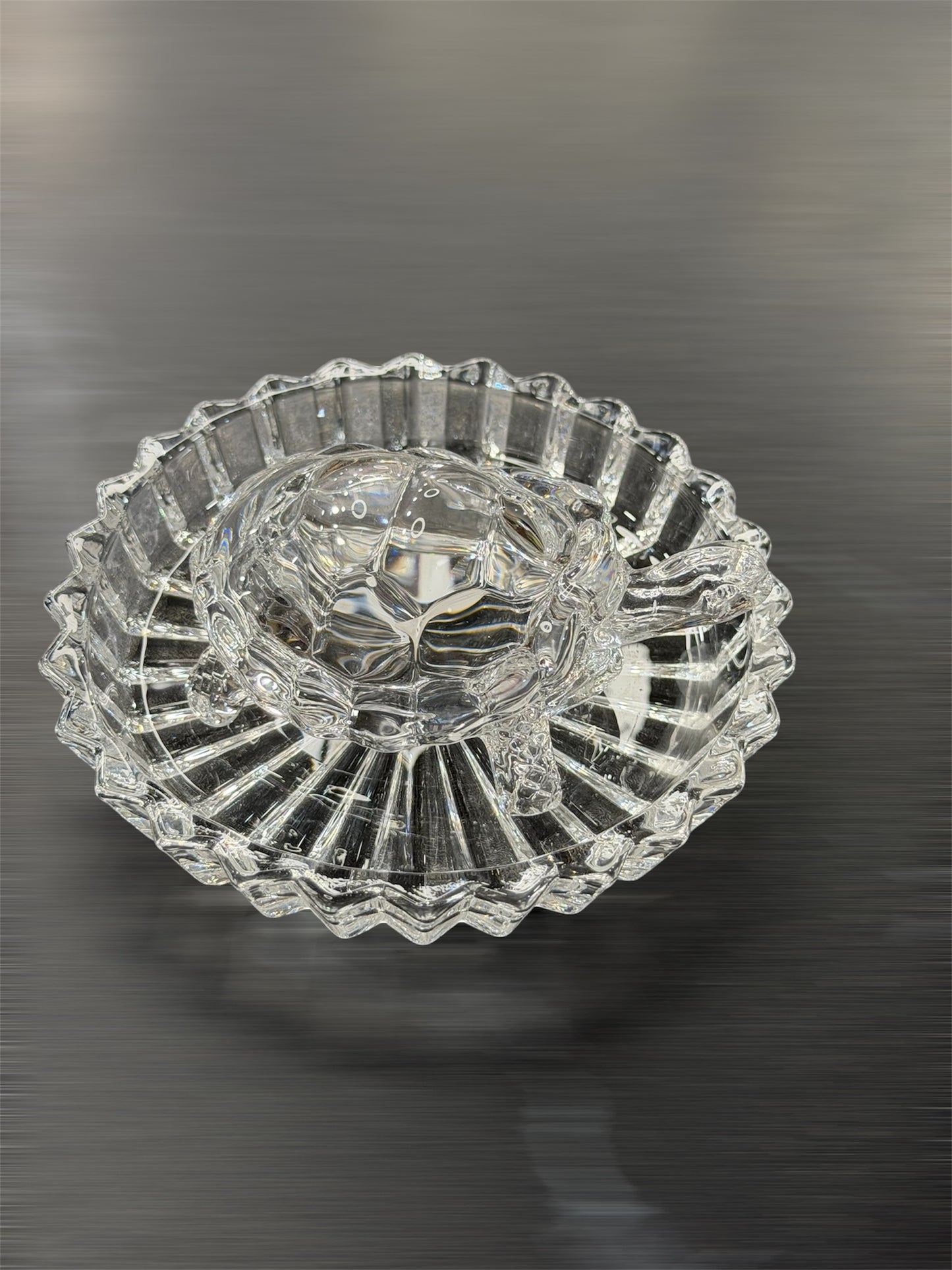 Tortoise with Plate