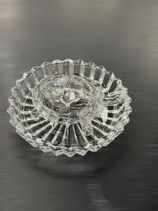 Tortoise with Plate