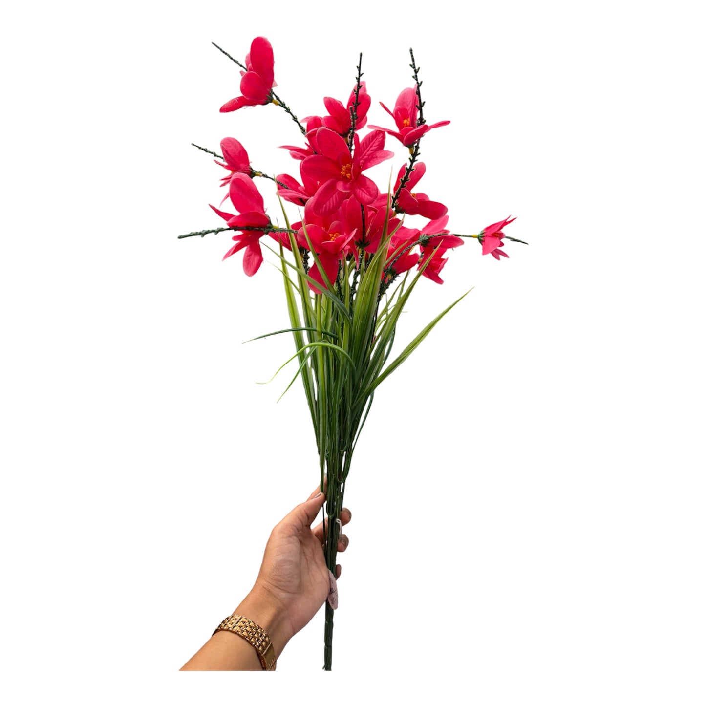 Orchid Stem