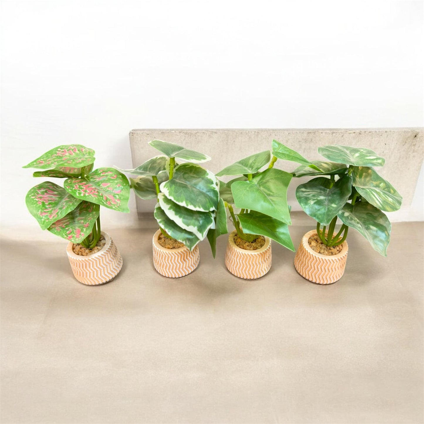 Mini Plants (1 pc)