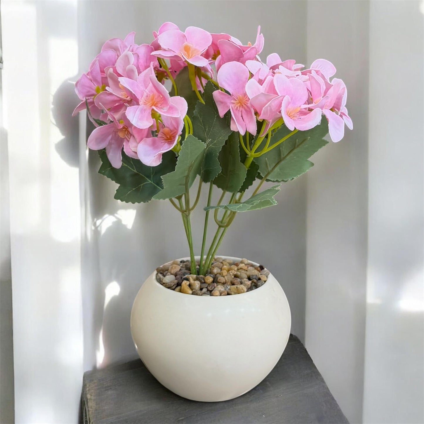 Flora