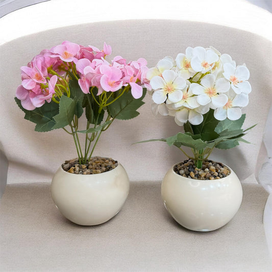 Flora
