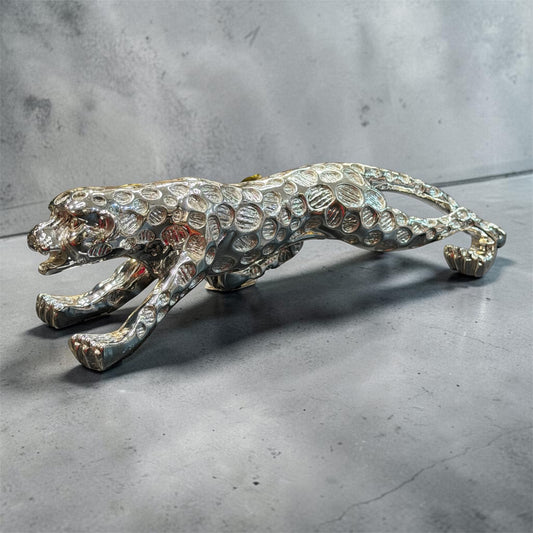 Jaguar Silver
